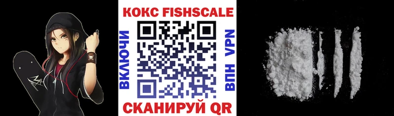 Cocaine FishScale  Новосиль 