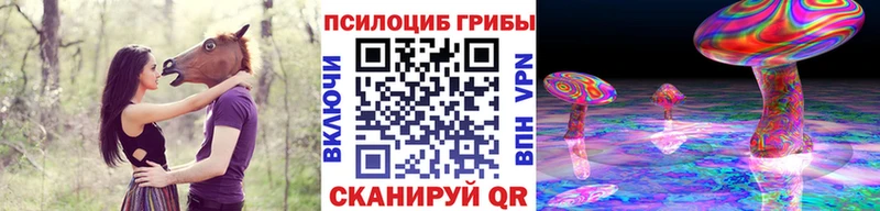 Псилоцибиновые грибы мицелий  Новосиль 